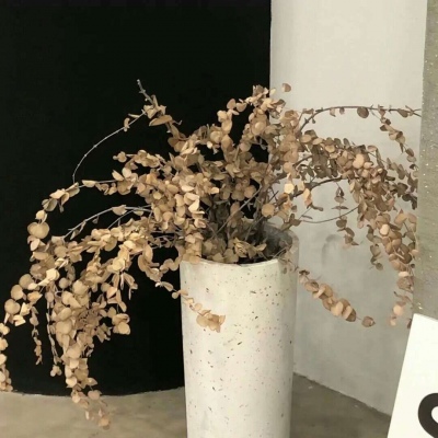 杭锦后旗FurryQQ群介绍